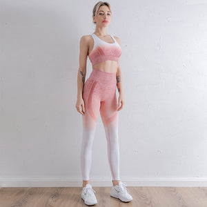 Ombré  Yoga Seamless Quick-Drying Breathable Outfit