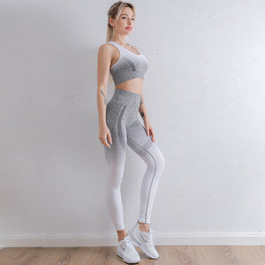 Ombré  Yoga Seamless Quick-Drying Breathable Outfit